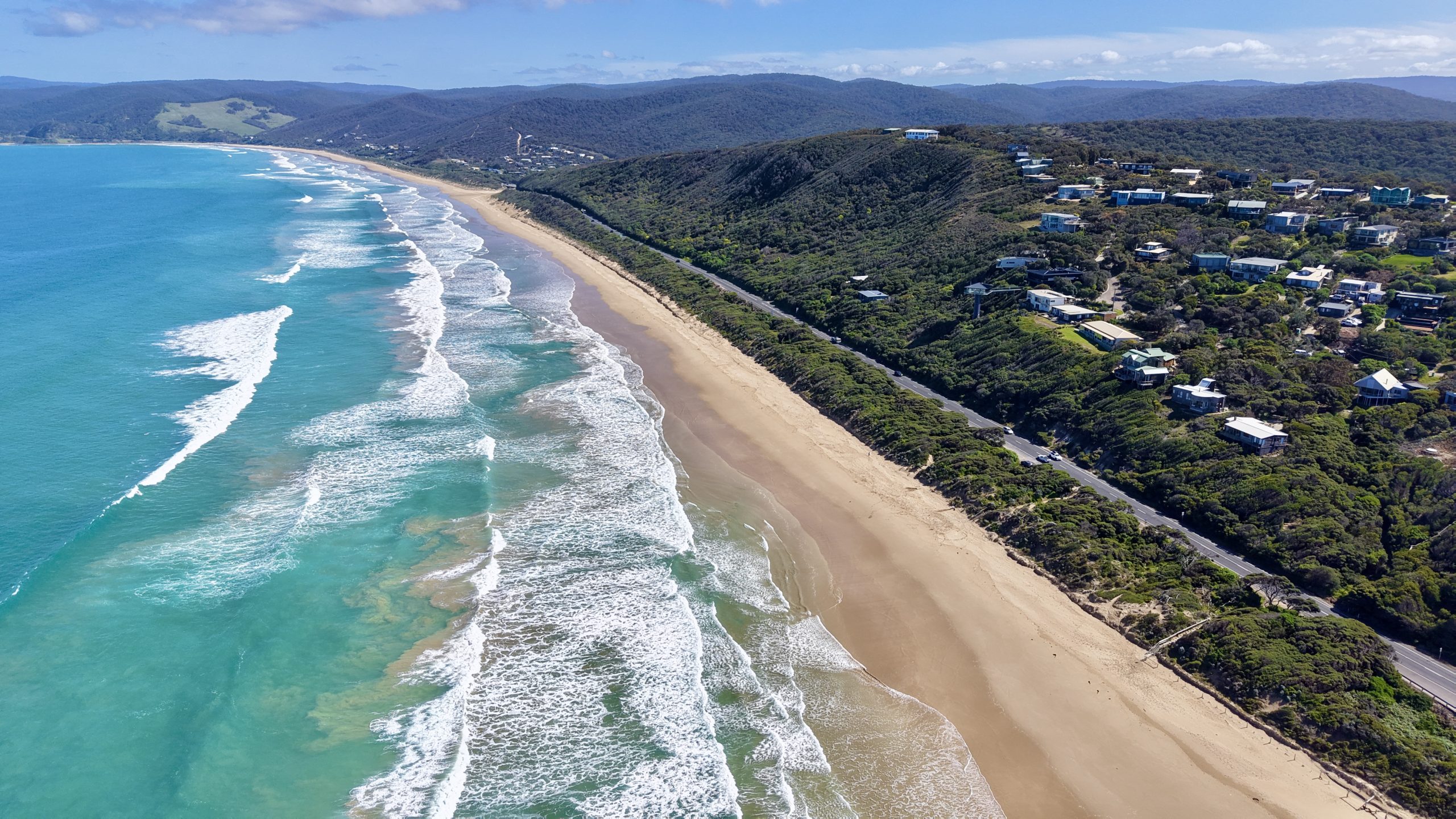 Great Ocean Report – Spring 2026
